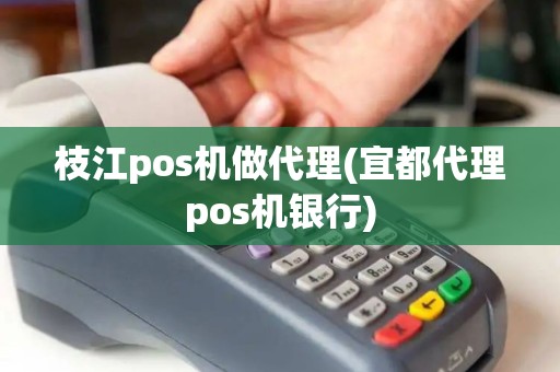 枝江pos机做代理(宜都代理pos机银行)