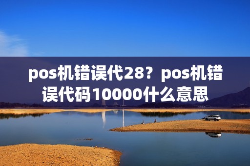 pos机错误代28？pos机错误代码10000什么意思