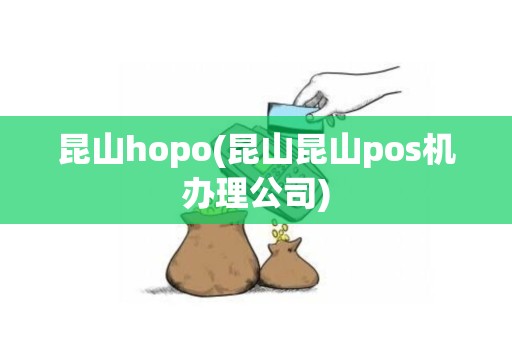 昆山hopo(昆山昆山pos机办理公司)