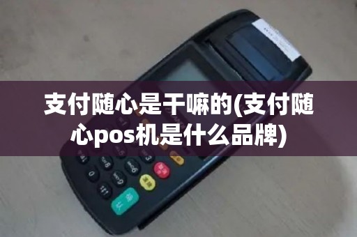 支付随心是干嘛的(支付随心pos机是什么品牌)