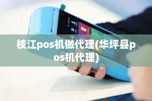 枝江pos机做代理(华坪县pos机代理)