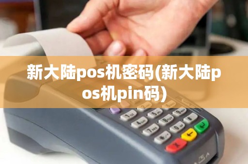 新大陆pos机密码(新大陆pos机pin码)