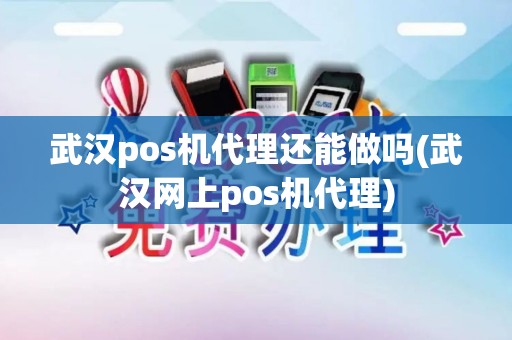 武汉pos机代理还能做吗(武汉网上pos机代理)