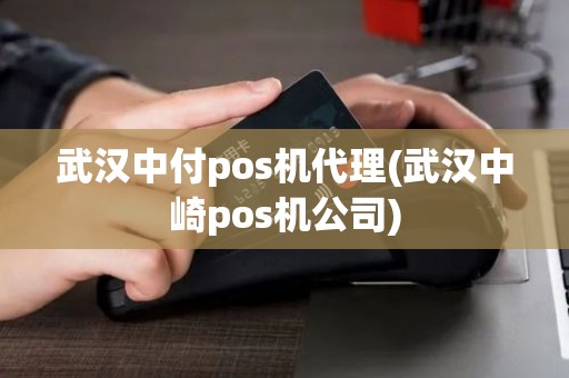 武汉中付pos机代理(武汉中崎pos机公司)