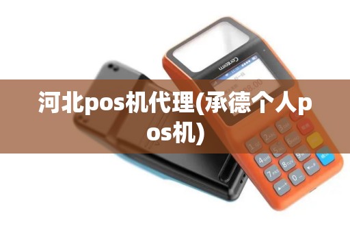 河北pos机代理(承德个人pos机)