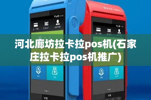 河北廊坊拉卡拉pos机(石家庄拉卡拉pos机推广)