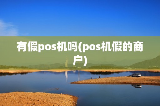 有假pos机吗(pos机假的商户)