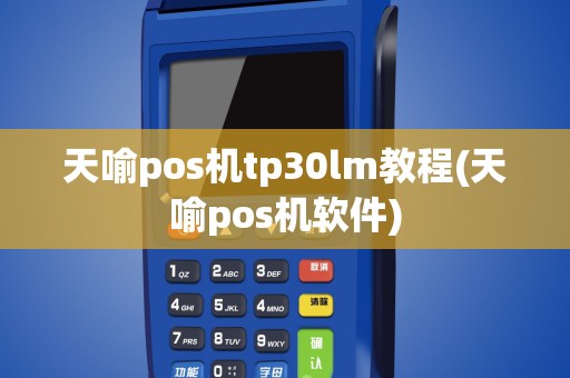 天喻pos机tp30lm教程(天喻pos机软件)