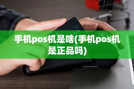 手机pos机是啥(手机pos机是正品吗)