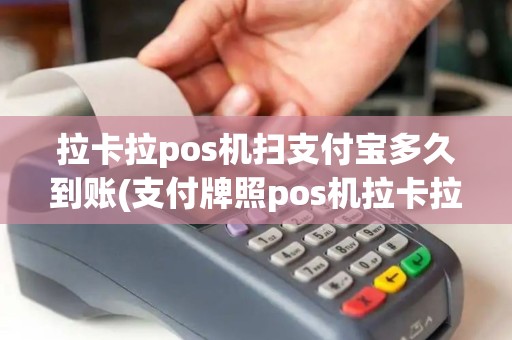 拉卡拉pos机扫支付宝多久到账(支付牌照pos机拉卡拉)