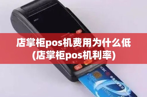 店掌柜pos机费用为什么低(店掌柜pos机利率)