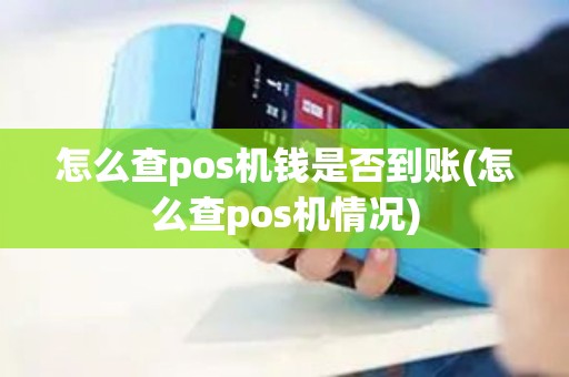 怎么查pos机钱是否到账(怎么查pos机情况)