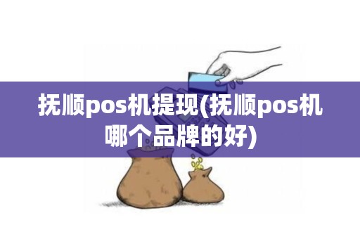 抚顺pos机提现(抚顺pos机哪个品牌的好)