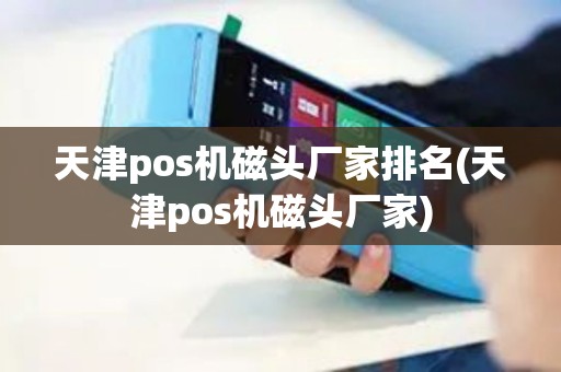 天津pos机磁头厂家排名(天津pos机磁头厂家)