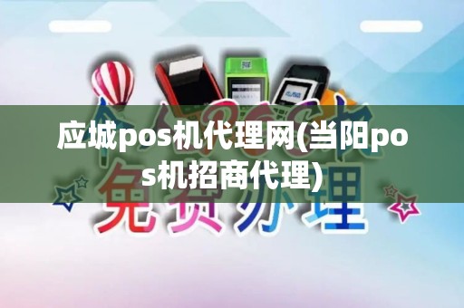 应城pos机代理网(当阳pos机招商代理)