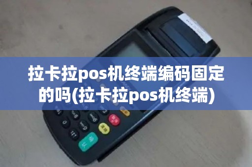 拉卡拉pos机终端编码固定的吗(拉卡拉pos机终端)
