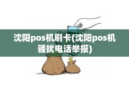 沈阳pos机刷卡(沈阳pos机骚扰电话举报)