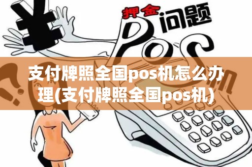 支付牌照全国pos机怎么办理(支付牌照全国pos机)