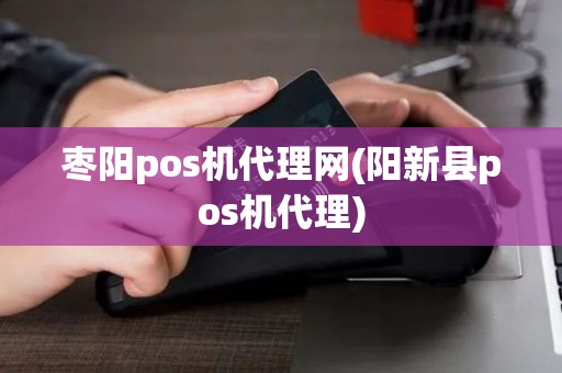 枣阳pos机代理网(阳新县pos机代理)
