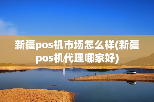 新疆pos机市场怎么样(新疆pos机代理哪家好)