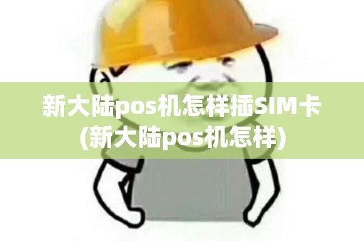 新大陆pos机怎样插SIM卡(新大陆pos机怎样)