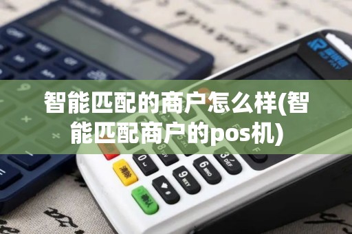 智能匹配的商户怎么样(智能匹配商户的pos机)