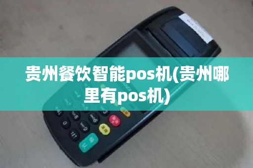 贵州餐饮智能pos机(贵州哪里有pos机)