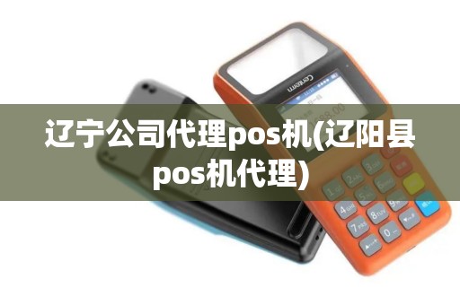 辽宁公司代理pos机(辽阳县pos机代理)