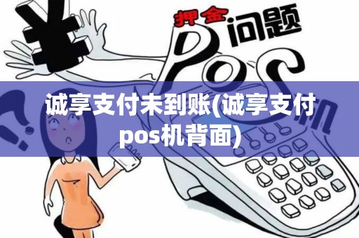 诚享支付未到账(诚享支付pos机背面)