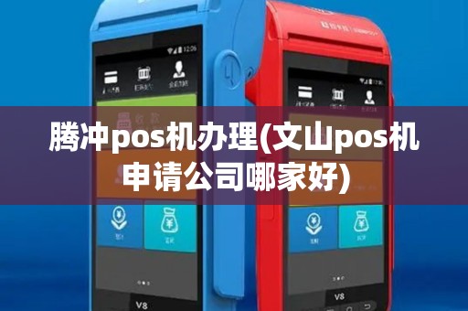 腾冲pos机办理(文山pos机申请公司哪家好)