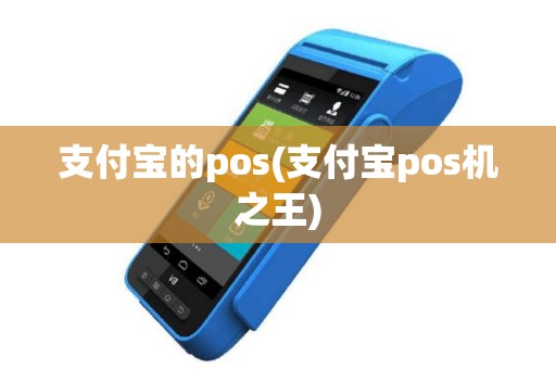 支付宝的pos(支付宝pos机之王)