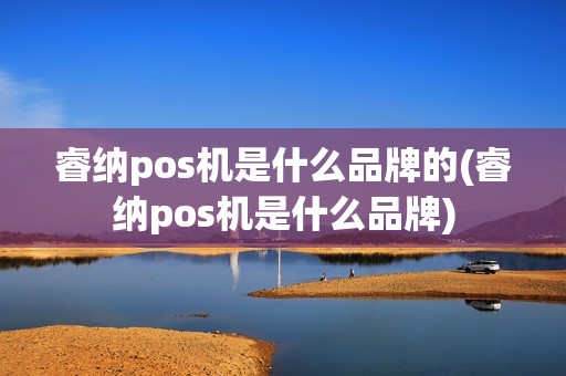 睿纳pos机是什么品牌的(睿纳pos机是什么品牌)