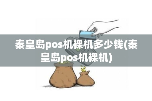 秦皇岛pos机裸机多少钱(秦皇岛pos机裸机)