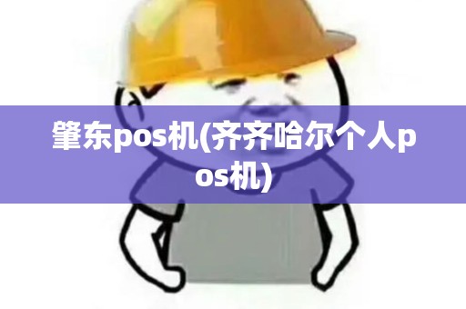 肇东pos机(齐齐哈尔个人pos机)