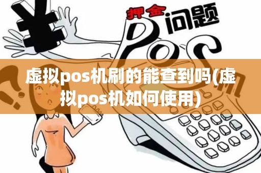 虚拟pos机刷的能查到吗(虚拟pos机如何使用)