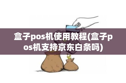 盒子pos机使用教程(盒子pos机支持京东白条吗)
