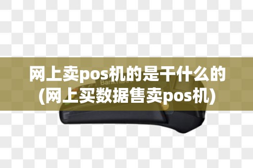 网上卖pos机的是干什么的(网上买数据售卖pos机)