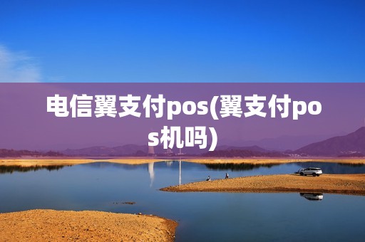 电信翼支付pos(翼支付pos机吗)