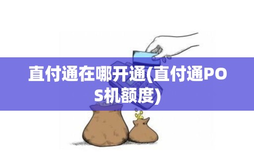 直付通在哪开通(直付通POS机额度)