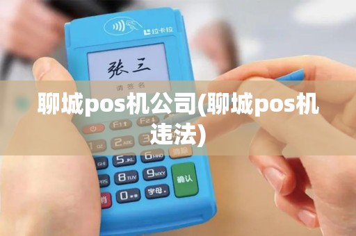 聊城pos机公司(聊城pos机违法)
