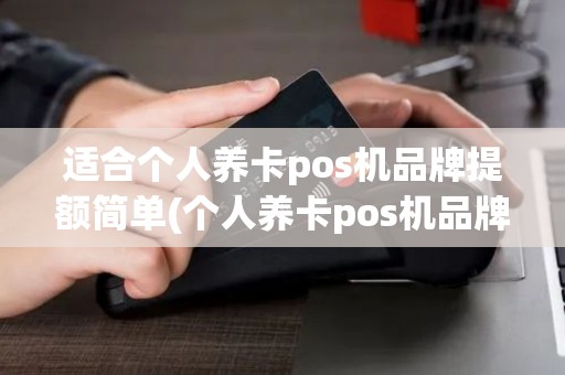 适合个人养卡pos机品牌提额简单(个人养卡pos机品牌)