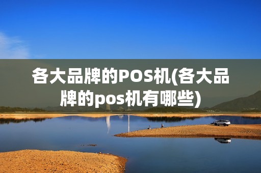 各大品牌的POS机(各大品牌的pos机有哪些)