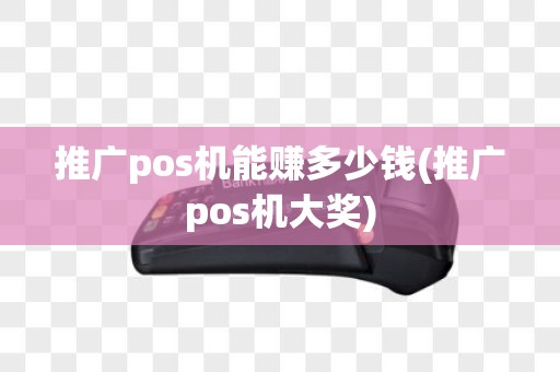 推广pos机能赚多少钱(推广pos机大奖)