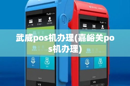 武威pos机办理(嘉峪关pos机办理)