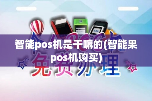 智能pos机是干嘛的(智能果pos机购买)