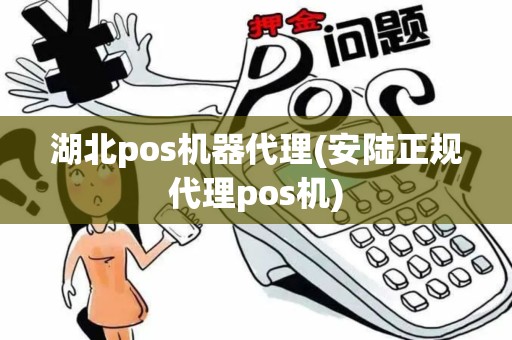 湖北pos机器代理(安陆正规代理pos机)