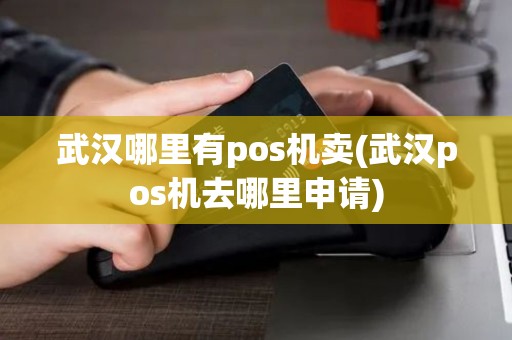 武汉哪里有pos机卖(武汉pos机去哪里申请)