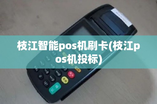 枝江智能pos机刷卡(枝江pos机投标)