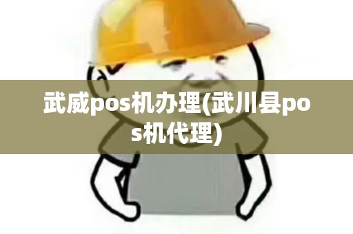 武威pos机办理(武川县pos机代理)