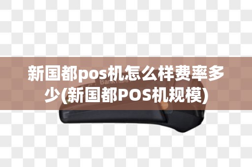 新国都pos机怎么样费率多少(新国都POS机规模)